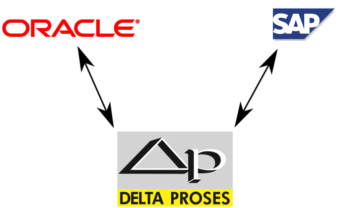 Delta Proses Oracle SAP Entegrasyonu